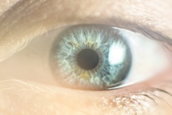 Human Female eye macro. Closeup shot of female gray - blue colour eye with day