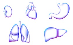 Human organ icon symbol medicine logo set. Lungs heart kidney liver stomach internal organ. Pharmacy banner doctor online vector illustration
