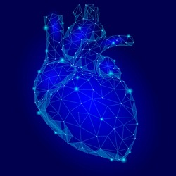 Human Heart Internal Organ Triangle Low Poly. Connected dots blue color technology 3d model medicine healthy body part vector illustration art