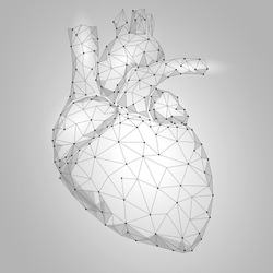 Human Heart Internal Organ Triangle Low Poly. Connected dots white gray neutral color technology 3d model medicine healthy body part vector illustration