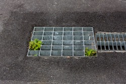 Grille drain of sewer around the street or walkway . Water recirculation system. Wastewater treatment. Grille of the drainage system on the pedestrian sidewalk.	