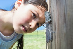 Young girl observing a grasshopper. Nature and friendship concept.