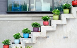 Colorful flower pot decorate on staircase, exterior design.