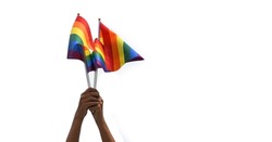 Isolated rainbow flags, symbol of lgbt people, holding in hands, concept for calling, showin and respecting human gender diversity and human rights, celebrating lgbtq+ in pride month.