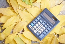 Big 10-digit 2-power grey calculator with blue and white buttons lies on wooden bench with many yellow autumn leaves
