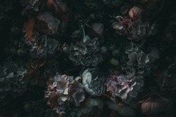 textile flowers in darkness