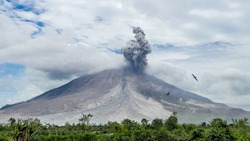 Eruption of volcano with two birds threatened by the nature. Sinabung, Sumatra, Indonesia 28-09-2016