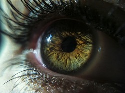 Green eye close-up
