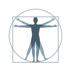 Cartoon Silhouette Vitruvian Man Proportion, Human Anatomy. Flat Design Style. Vector illustration