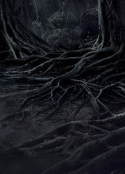 creepy trees with twisted roots and two lizard on misty night forest. Scary concept.
