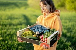 Cheerful woman carrying boxes with fresh juicy berries, fruits and vegetables on farmland. Concept of healthy food and local farming