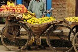 transport of fruits