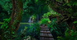 Waterfall in the tropical forest