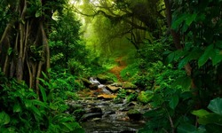 Tropical jungles  of Southeast Asia