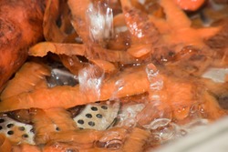 Skins from carrots in the sink with water