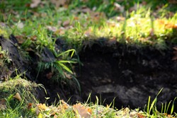 Dug hole in the ground with green grass, soft focus