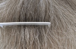 gray hair with comb