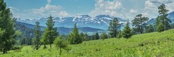 Summer greenery of meadows and forests and snow on the peaks, sunny day, panoramic view