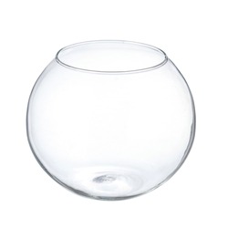 Clear spherical glass vase isolated on a white background