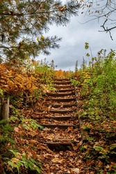 Old wooden steps on a foot path in Lake of the Falls County Park in Mercer, Wisconsin, vertical