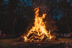 Bonfire burning trees at night. Large orange flame isolated on a black background. Fire on black. Brightly, heat, light, camping, big bonfire
