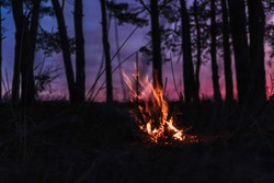 Big campfire at the river after red sunset mountain pine forest