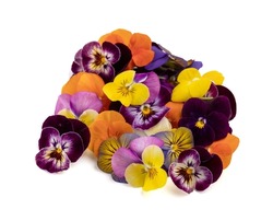 Edible flowers of all colours for the presentation of dishes on a white background