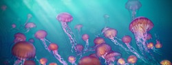 jellyfish, Cross process technique for background use