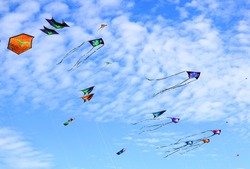 Kites in the Sky 