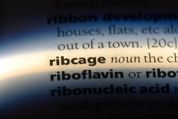 ribcage word in a dictionary. ribcage concept.