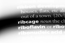ribcage word in a dictionary. ribcage concept.