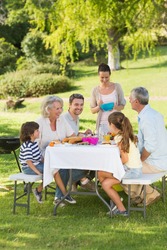 Side view of extended family dining at outdoor table