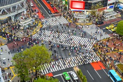 Tokyo, Japan view of Shibuya Crossing, one of the busiest crosswalks in the world.