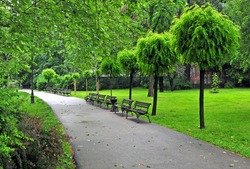 Peaceful summer park with a sidewalk, Belgrade