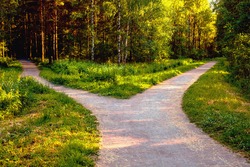 Divergence of directions. The wide path in the park is divided into two trails. Conceptual landscape.