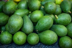 Selected ripe avocado boxes. boxes of avocado. Daylight. View from above. horizontal. High quality photo