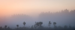 Orange sun rising behind the trees, a meadow covered with dense fog. The golden hour, misty morning. Beautiful misty sunrise landscape. Foggy morning with trees through the dense fog.
