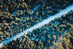 Top view of a dark green winter forest landscape. Aerial nature scene of pine trees and asphalt road. Country walkway through the mold softwood above.