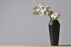 Modern geometric black vase with orchid flower on gray background