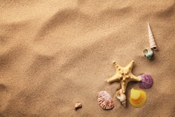 seashells on sand beach