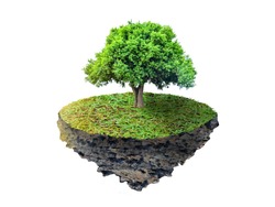 The tree is floating on a floating island, on a white background.