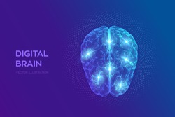 Brain. Digital brain with binary code. 3D Science and Technology concept. Neural network. IQ testing, artificial intelligence virtual emulation science technology. Vector illustration.