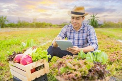 Asian man owns using a tablet checks the quality of vegetables grown on the farm before harvesting them for sale in morning. Make sales online organic vegetable, Healthy food product.
