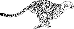 running Cheetah drawn with ink on white background logo tattoo