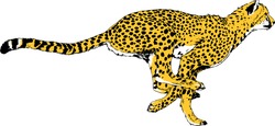 running Cheetah drawn in ink by hand on a white background logo