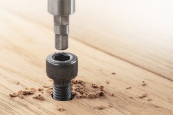 hex bolt screw hex bit  in wooden oaks plate. Spanner, bolt, screw and nuts.
