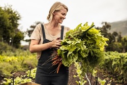 Cheerful organic farmer holding freshly picked vegetables in an agricultural field. Self-sustainable young woman gathering fresh green produce in her garden during harvest season.