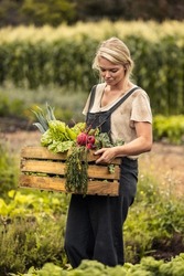 Woman harvesting on her organic vegetable farm. Young female farmer holding a box full of freshly picked produce in her garden. Self-sufficient female farmer gathering fresh vegetables.
