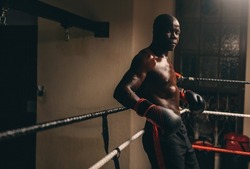 Muscular African boxer looking at the camera while resting in his corner of the boxing ring. Athletic young man having a training session in a boxing gym.