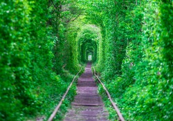 A railway in the spring forest tunnel of love